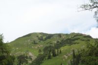 2015-06-25_05Drijaggenalm (103).JPG